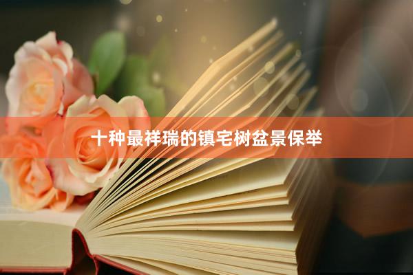 十种最祥瑞的镇宅树盆景保举