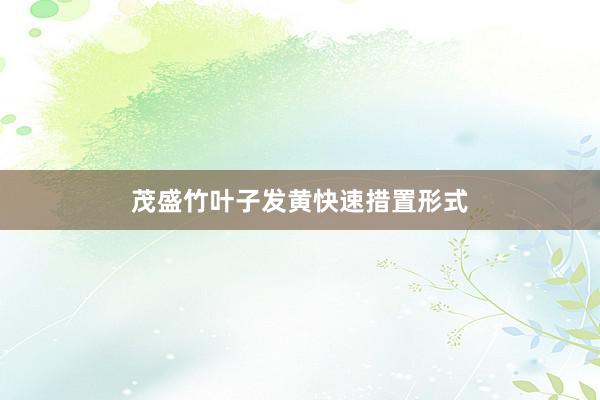 茂盛竹叶子发黄快速措置形式