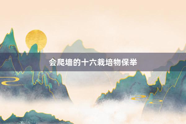 会爬墙的十六栽培物保举